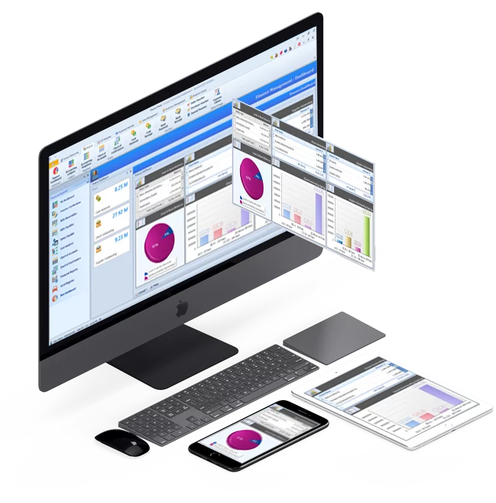 QuickDice ERP Software Interface